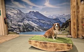 Almfrieden Hotel&Romantikchalet